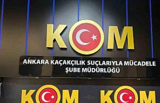 Ankara merkezli 5 ildeki operasyonlarda 96 egzotik...