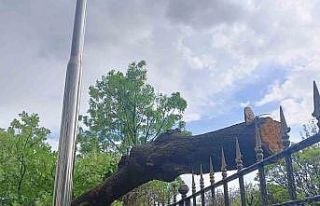 Ankara’da fırtına ağaçları devirdi