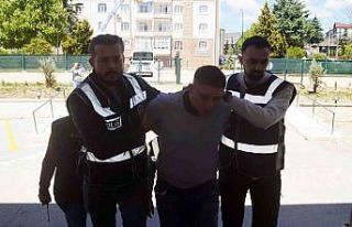 Anne cinayetinde acı gerçek: Tartıştığı oğlunu...