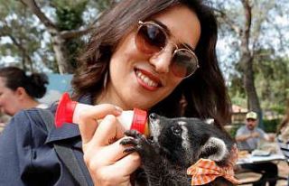 Antalya Doğal Yaşam Parkı’nda annesiz misafirlere...