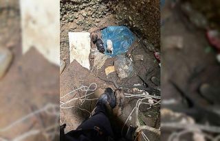 Antalya’da kuyuya düşen 7 yavru köpeği itfaiye...
