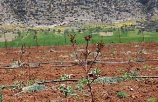 Antalya’da tarımsal sulama projeleriyle tersine...