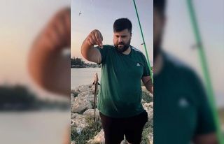 Antalya’da vantuzlu ‘remora’ balığı şaşkınlığı