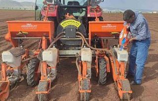 Araban Ovası’nda pamuk ekimine başlandı