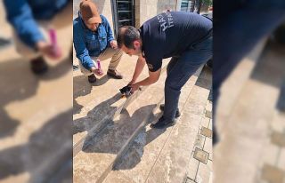 Aracın altına sıkışan yavru kediyi itfaiye kurtardı