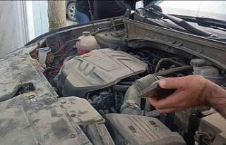 Aracın motoruna giren yavru kedi telefondan miyavlama...