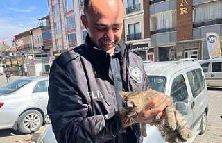 Aracın motoruna giren yavru kediyi polis kurtardı