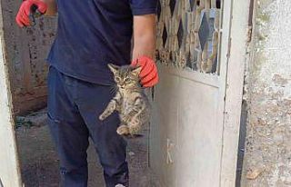 Aracın motoruna sıkışan yavru kedi kurtarıldı