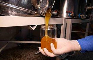 Ardahan Çiçek Balı ve arı ürünlerinde kalite...