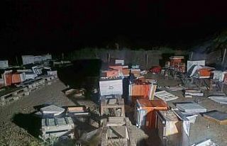 Arı kovanları cayır cayır yandı