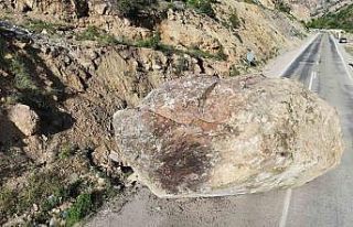 Artvin’in Ardanuç ilçesinde dev kaya yola düştü