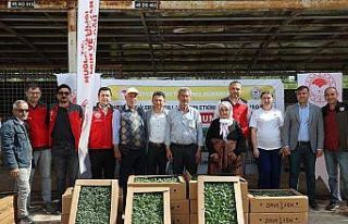 Ata Tohumu projesi Menteşe’de başladı