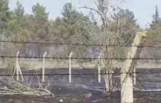 Atatürk Barajında korkutan yangın