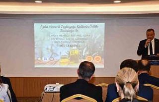 Aydın Memecik Naturel Sızma Zeytinyağı Kalitesi...