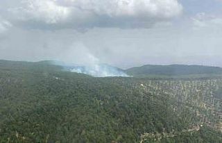 Aydın’da orman yangını