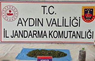 Aydın’da uyuşturucu operasyonu: 36 şüpheli yakalandı