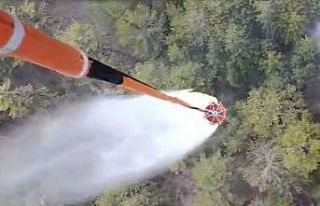 Aydın’daki orman yangını kontrol altına alındı