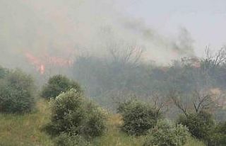 Aydın’daki yangın kontrol altına alındı