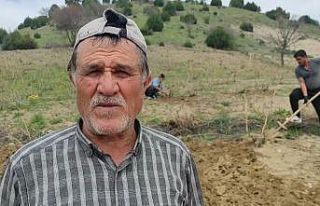 Bağlar elbirliğiyle belleniyor