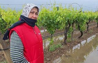 Bahar yağmurları üreticiyi sevindirdi