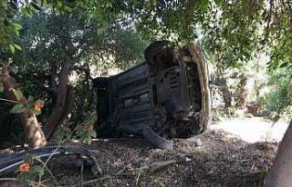 Bahçeye savrulan otomobilin sürücüsü yaralandı