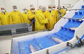 Bakan Kacır, bölgenin lokomotifi olacak su ürünleri...