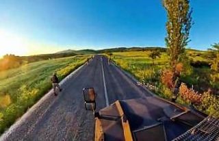 Bakan Yerlikaya: "Diyarbakır’da 174 ton toz...