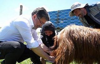 Bakan Yumaklı, süt sağan kadınlara eşlik etti,...