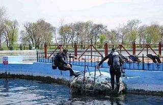 Balık adamlar kampa girdi