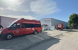 Balık işleme tesisinde yangın paniği