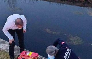 Balık ve kaz ölümleri sonrası numune alındı