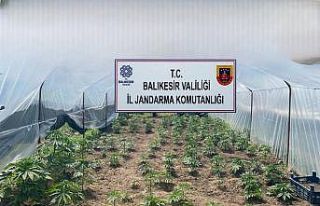 Balıkesir’de jandarmadan organize suçlara karşı...