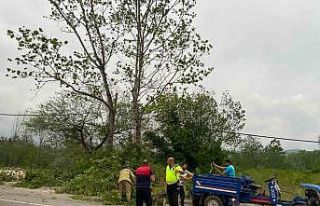 Bartın’da şiddetli fırtınada ağaçlar devrildi