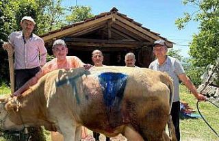 Bartın’da yüz binde bir görülen olay