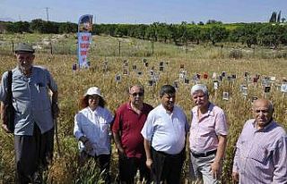 Başaklar kitap açtı