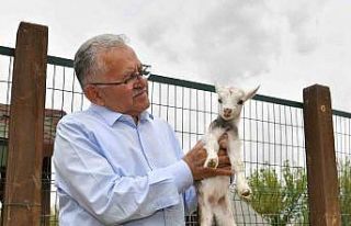 Başkan Büyükkılıç, hayvanat bahçesini ziyaret...