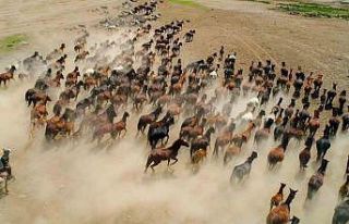 Başkan Büyükkılıç: "Hürmetçi Sazlığı’nda...