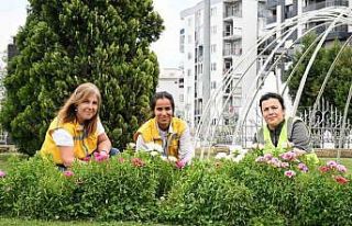 Başkan Çerçioğlu Efeler’i bahar çiçekleri...