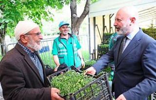 Başkan Çolakbayrakdar’dan organik domates fidesi...