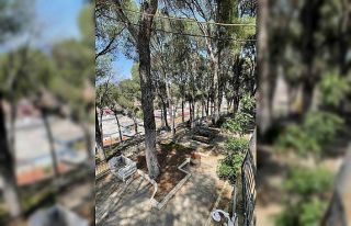 Başkan Ercan’dan ’piknik’ daveti