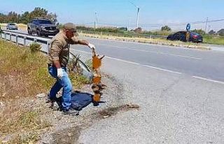 Başkan Sürücü: "Çok nadir ve önemli bir...