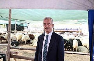 Başkan Tahmazoğlu: "Kurban Bayramı’nda fahiş...