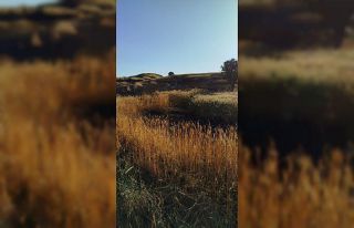 Batman’da soda şişesi 100 dönümlük ekili araziyi...