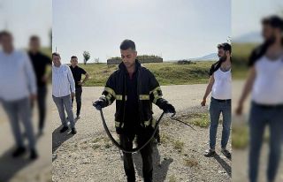 Batman’da tavan arasına giren yılan paniğe neden...