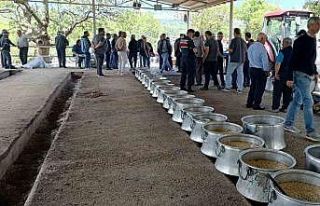 Bayramiç’te 20 bin kişinin katılımı ile "Garipçe...