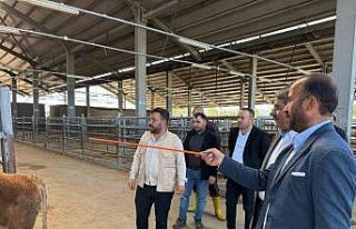 Belediye Başkanı canlı hayvan borsası ve et entegre...