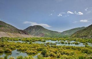 Beyhan’da fotosafari heyecanı
