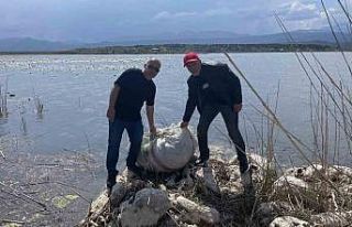 Beyşehir Gölü’nde denetimler sürüyor