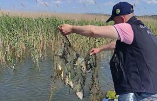 Beyşehir’de avlanma yasağına rağmen göl sularına...