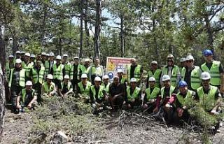 Beyşehir’de ormancılar ağaç kesim tekniklerini...